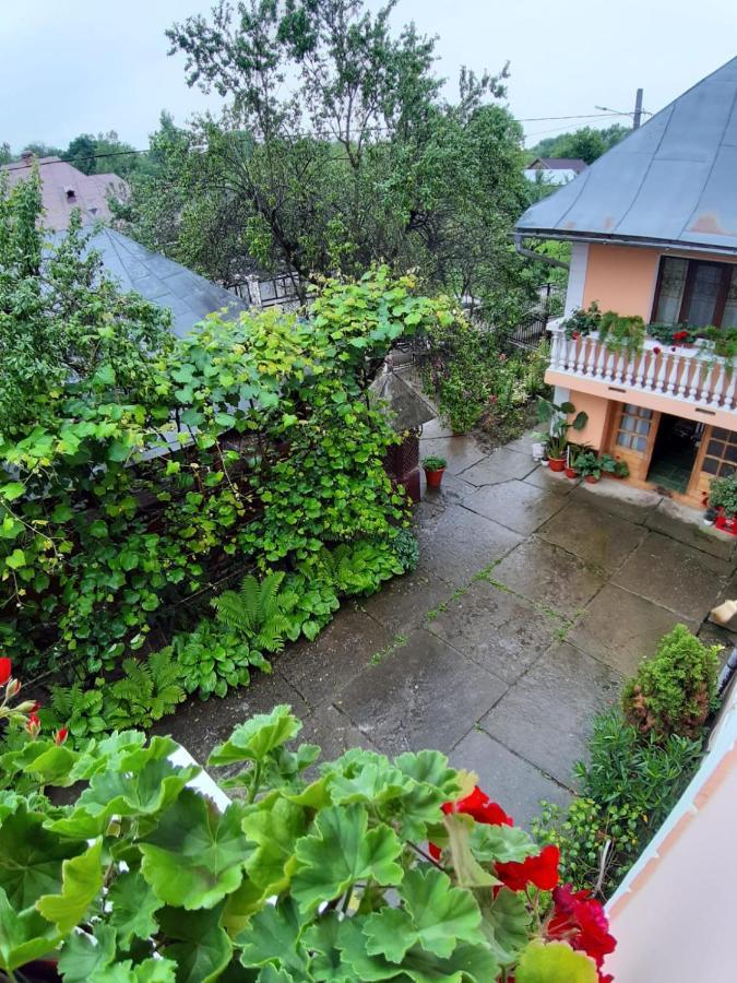 Pensiunea Covaciu Vadu Izei Exteriör bild