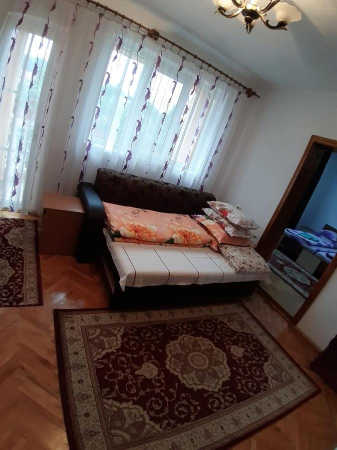 Pensiunea Covaciu Vadu Izei Exteriör bild