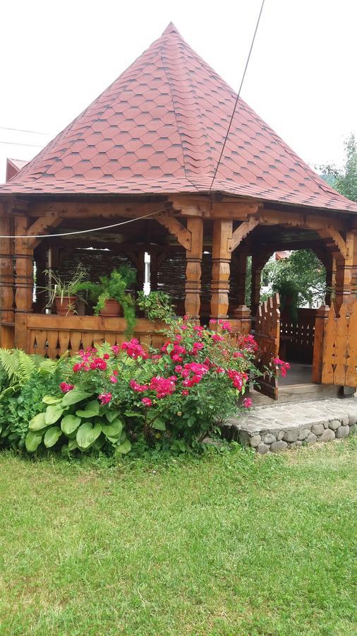 Pensiunea Covaciu Vadu Izei Exteriör bild