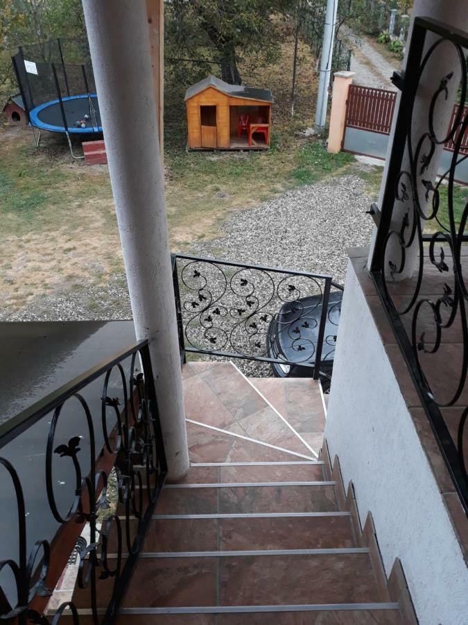 Pensiunea Covaciu Vadu Izei Exteriör bild
